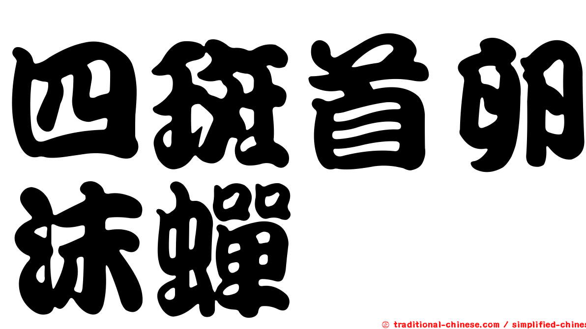 四斑首卵沫蟬