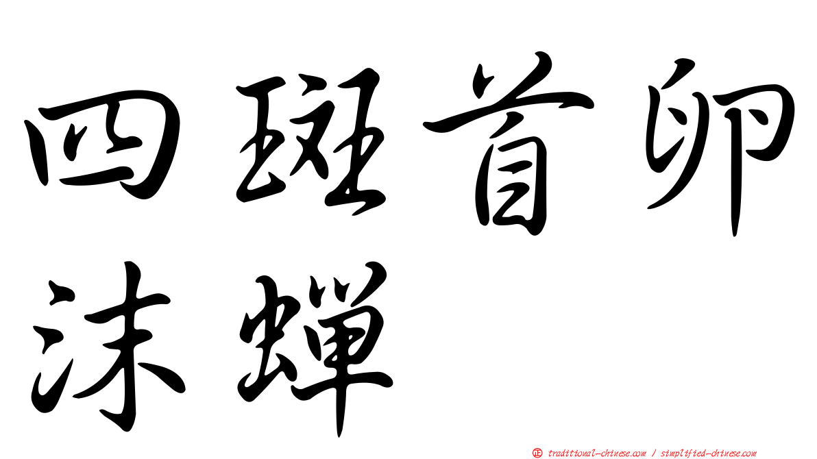四斑首卵沫蟬