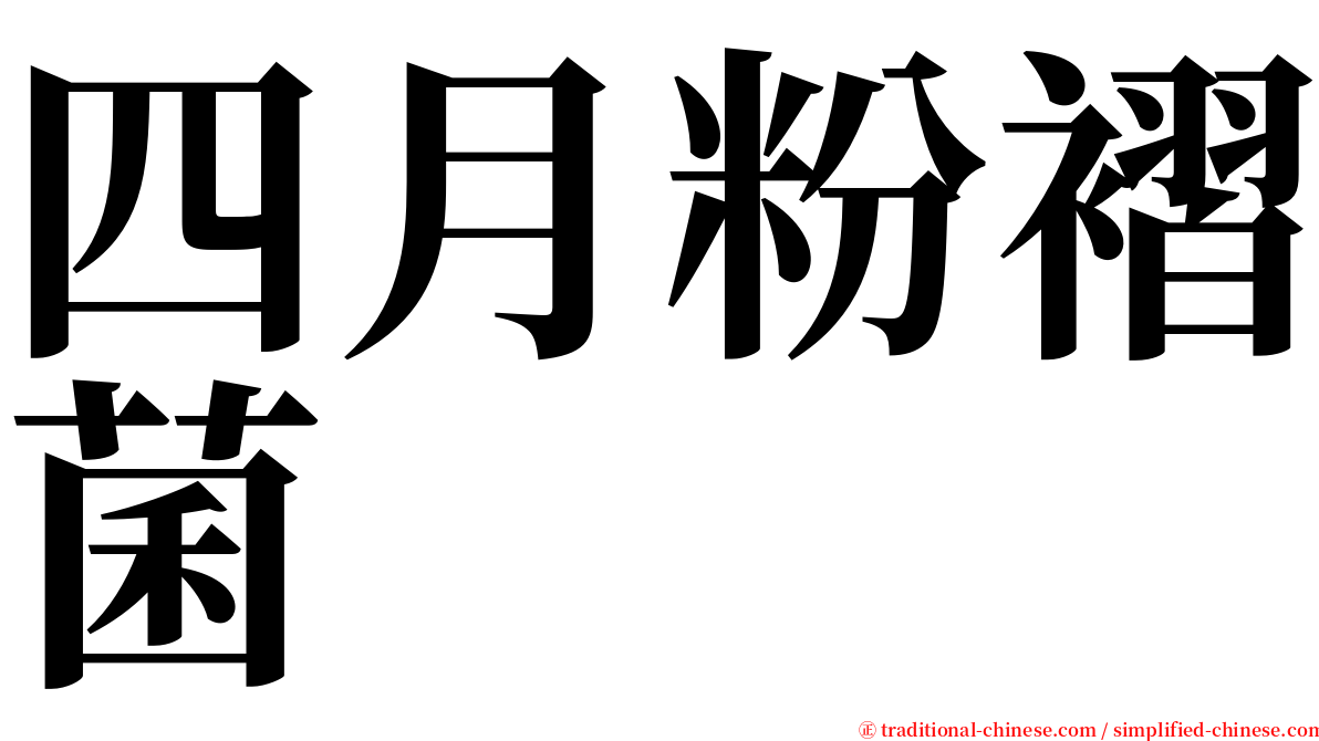 四月粉褶菌 serif font