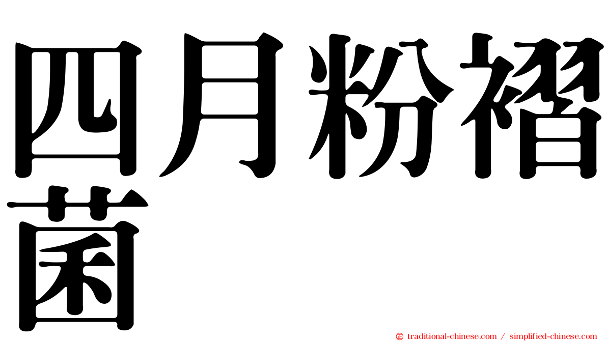 四月粉褶菌