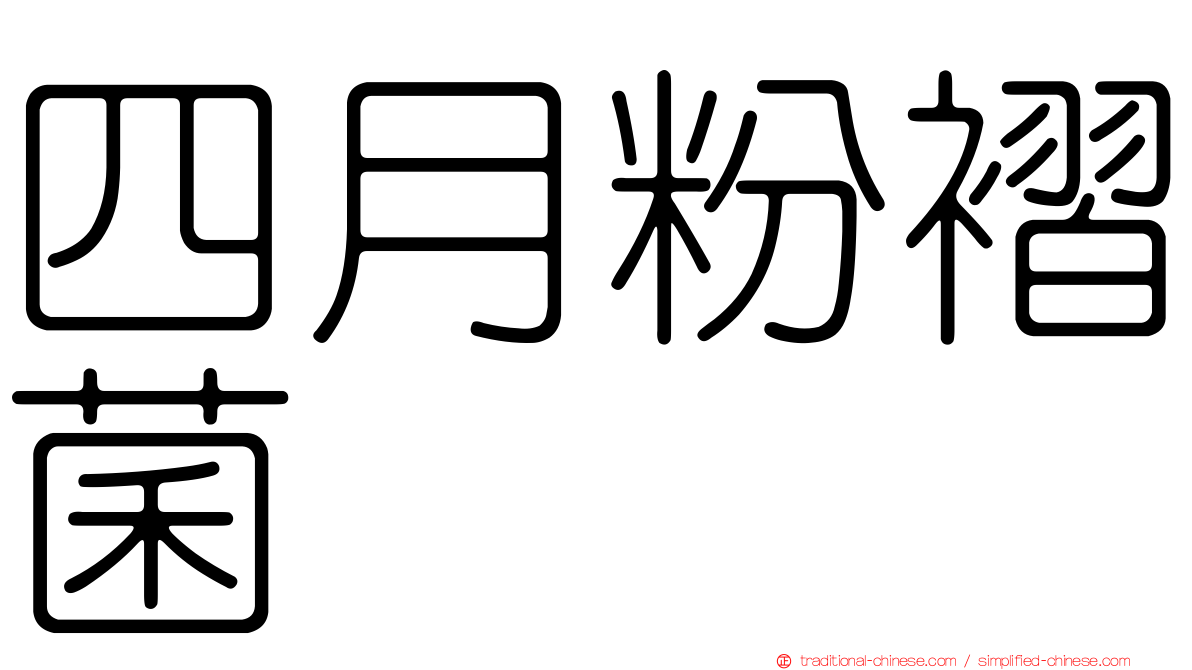 四月粉褶菌