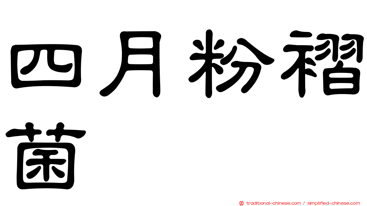 四月粉褶菌