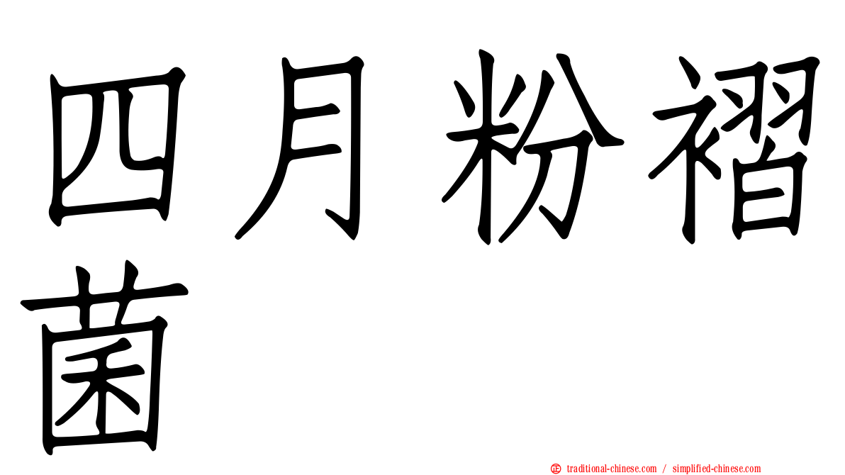 四月粉褶菌