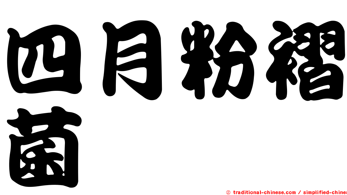 四月粉褶菌