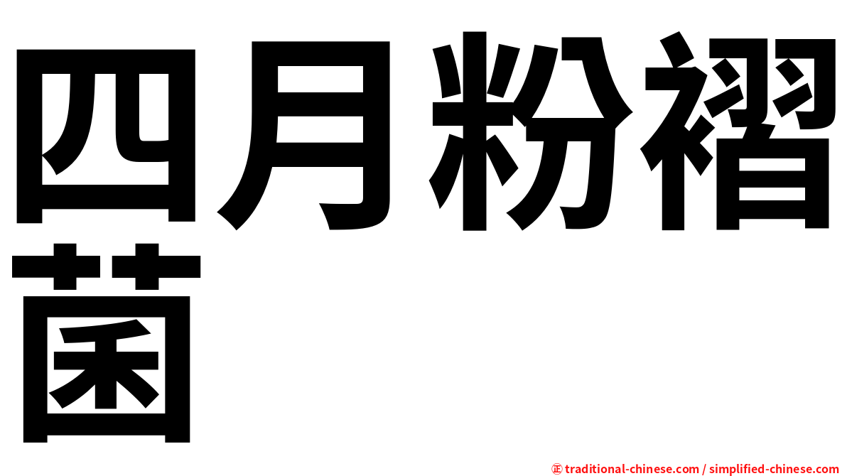 四月粉褶菌