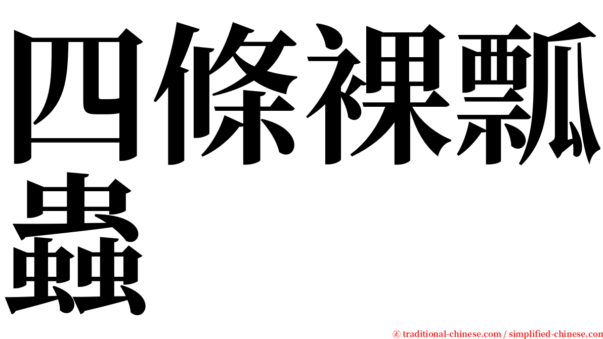 四條裸瓢蟲 serif font