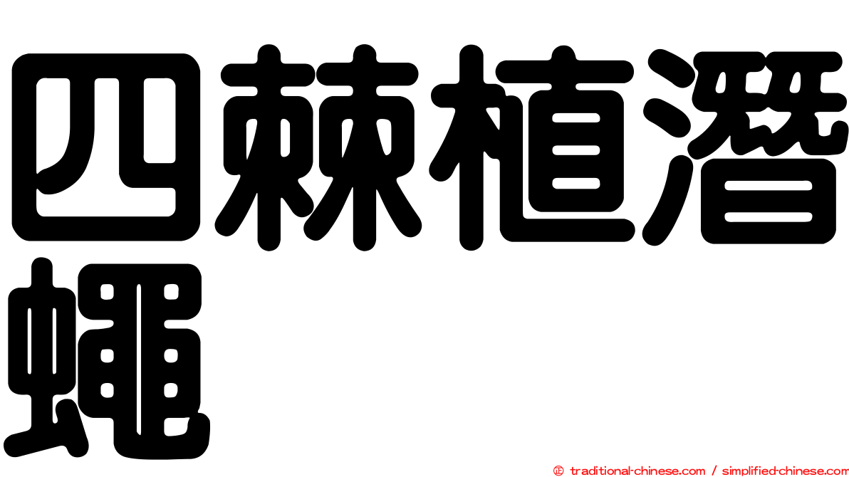 四棘植潛蠅