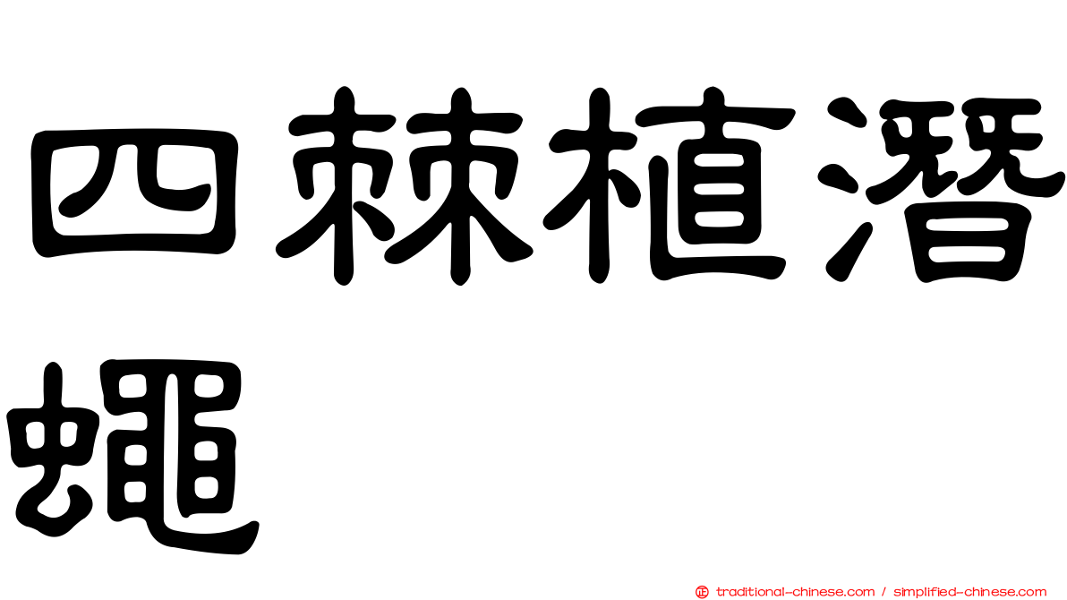 四棘植潛蠅