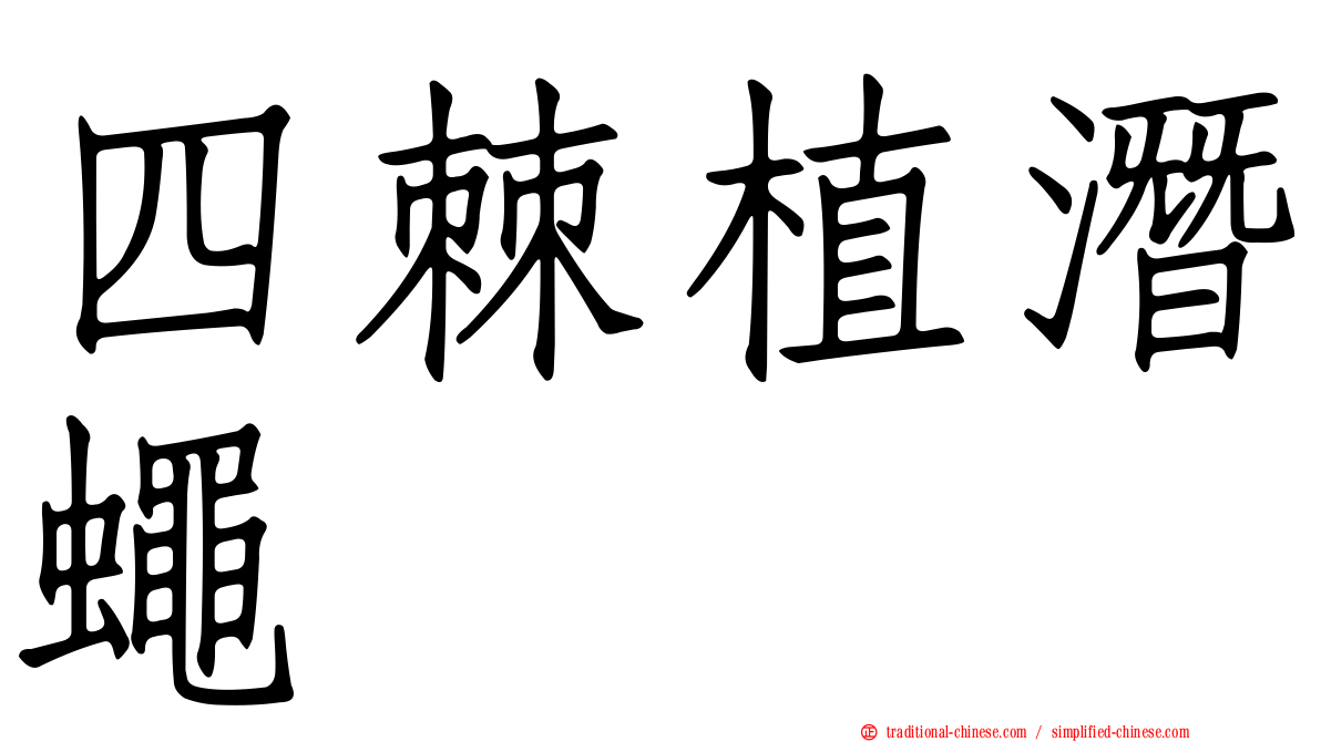 四棘植潛蠅