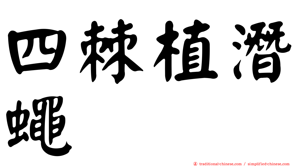 四棘植潛蠅
