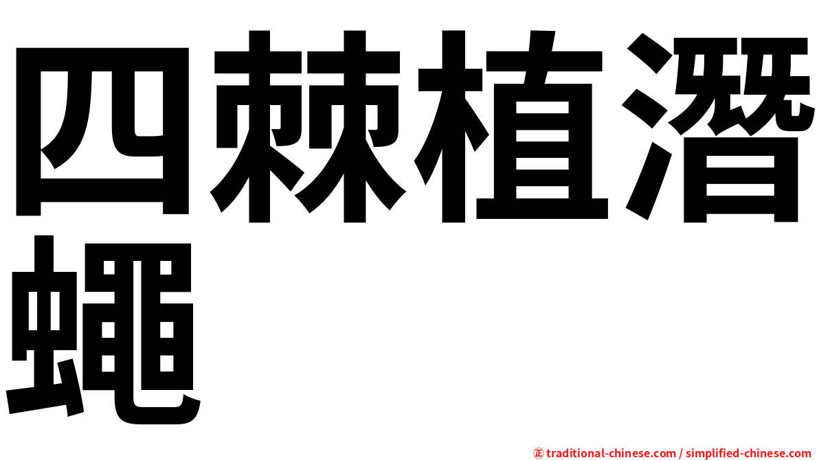 四棘植潛蠅
