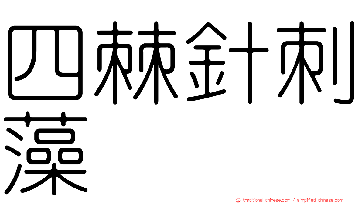 四棘針刺藻
