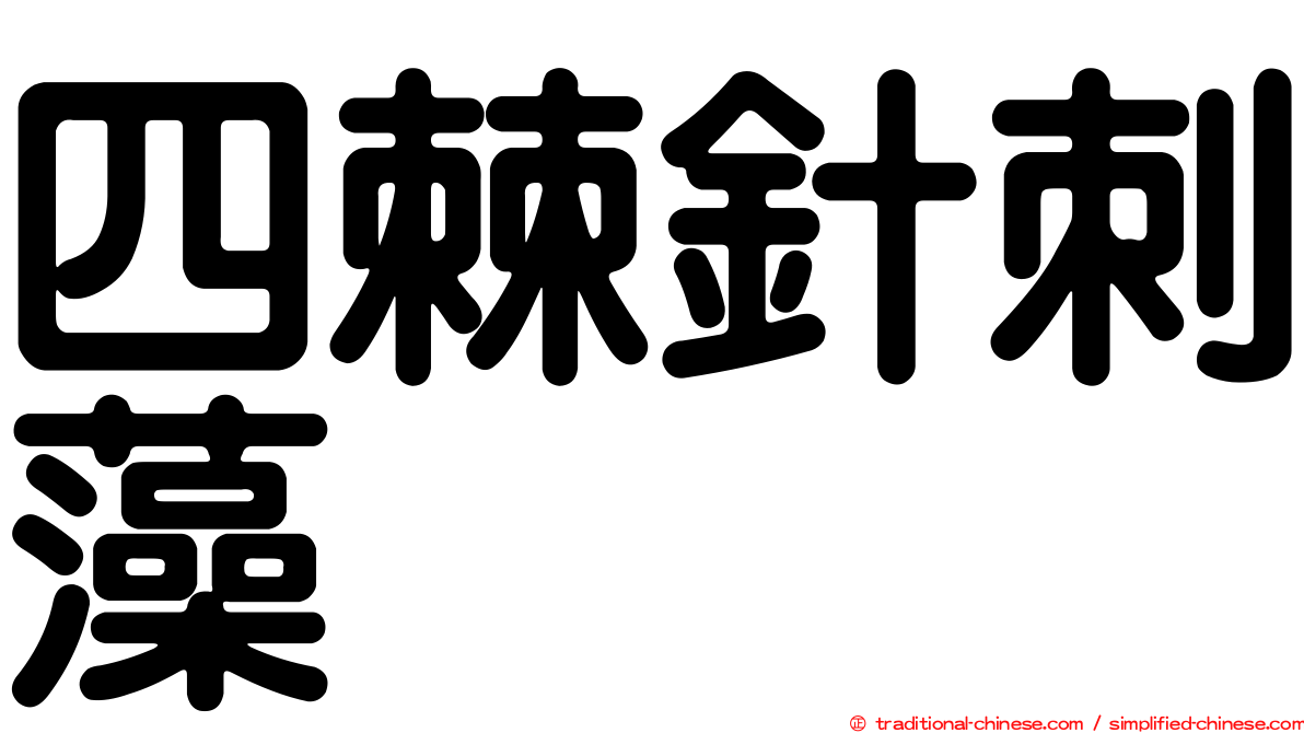 四棘針刺藻