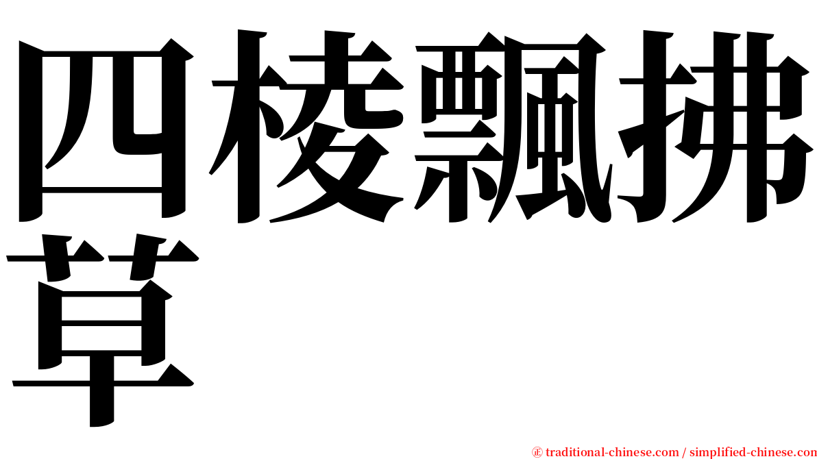 四棱飄拂草 serif font