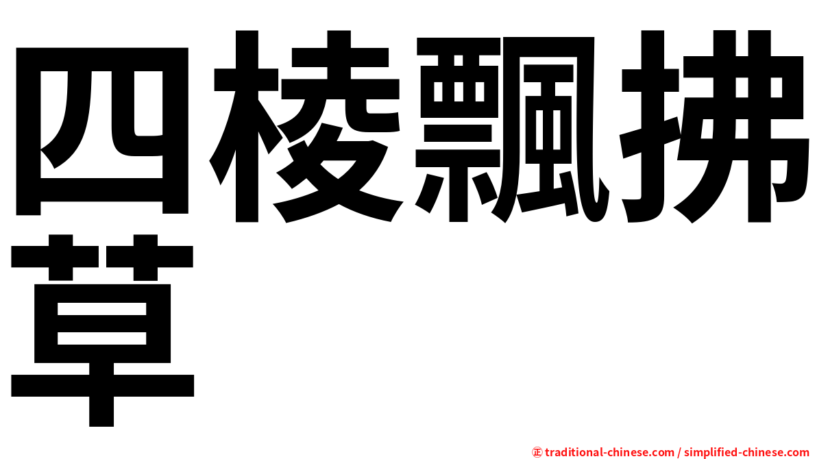 四棱飄拂草