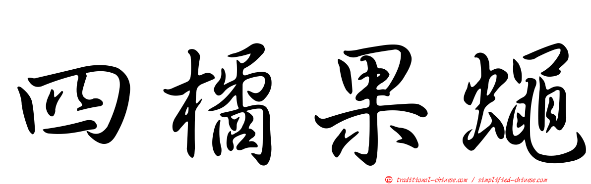 四橘果蠅