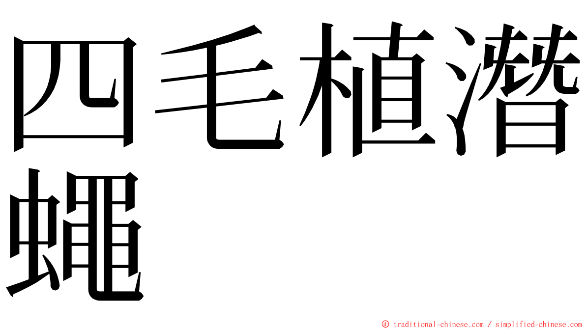 四毛植潛蠅 ming font