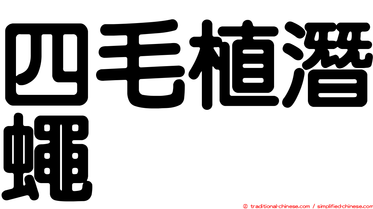 四毛植潛蠅