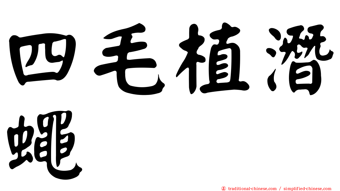 四毛植潛蠅