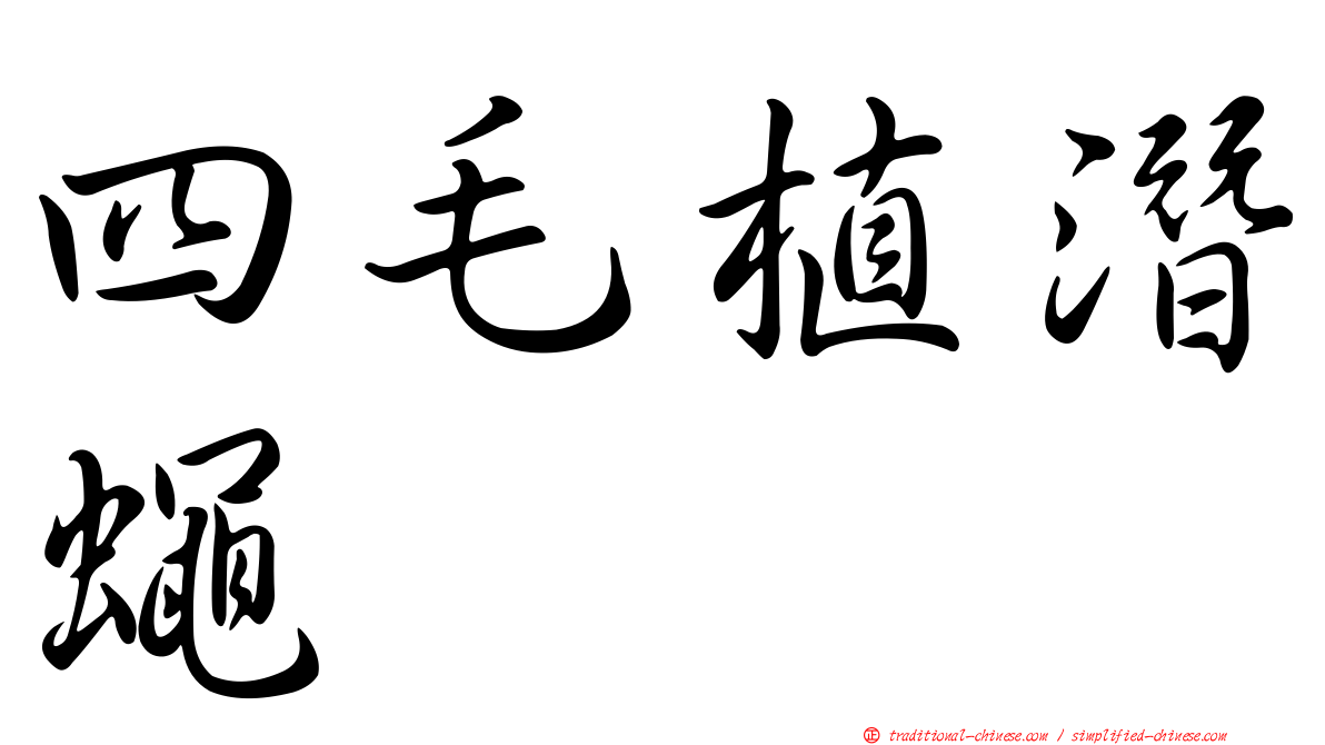 四毛植潛蠅