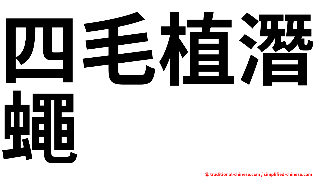 四毛植潛蠅
