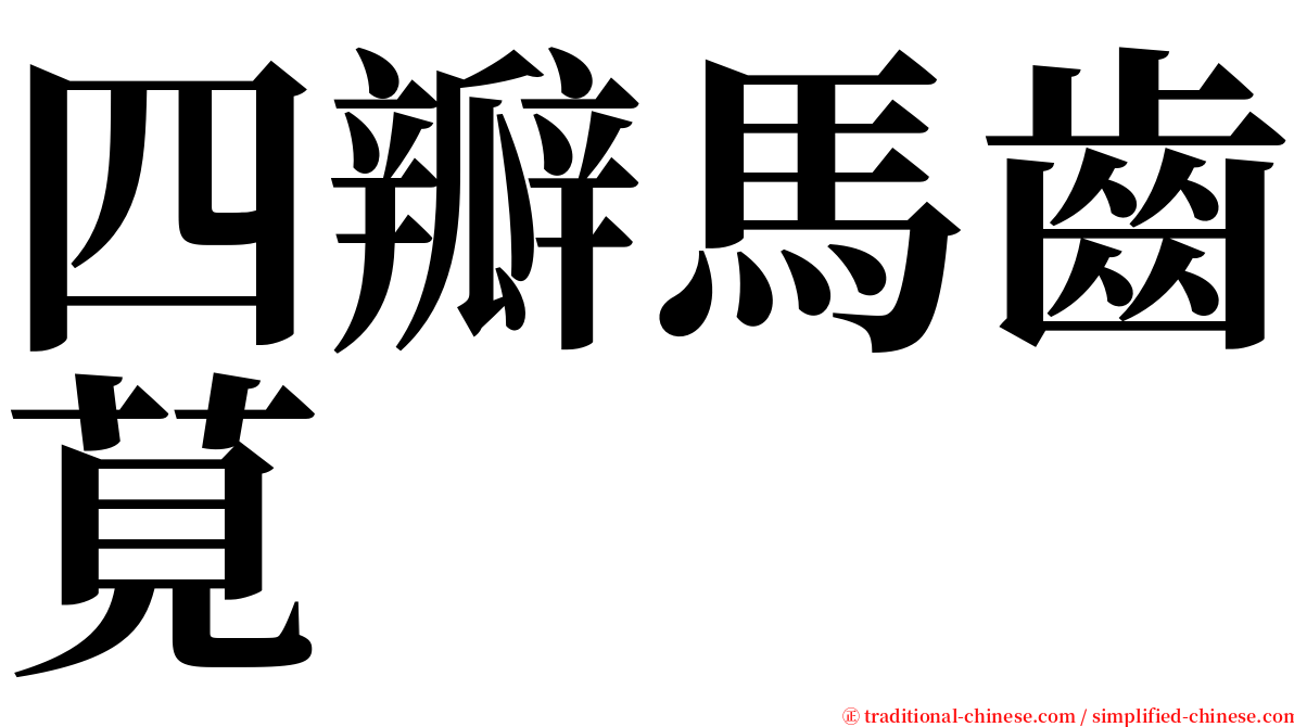 四瓣馬齒莧 serif font