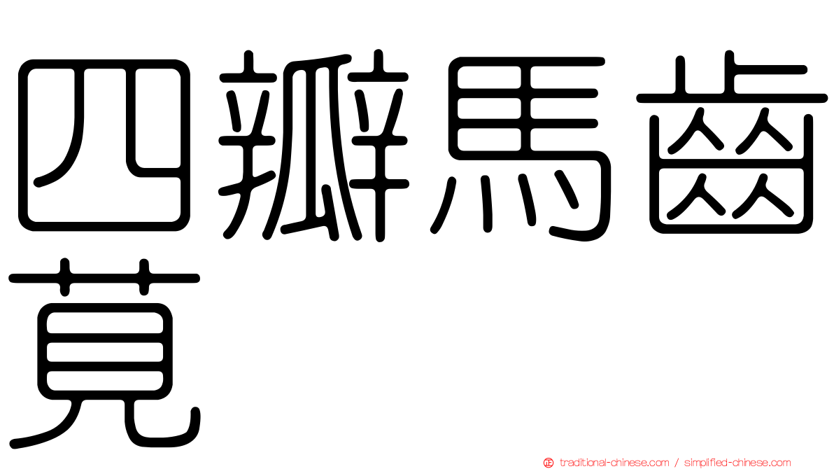 四瓣馬齒莧