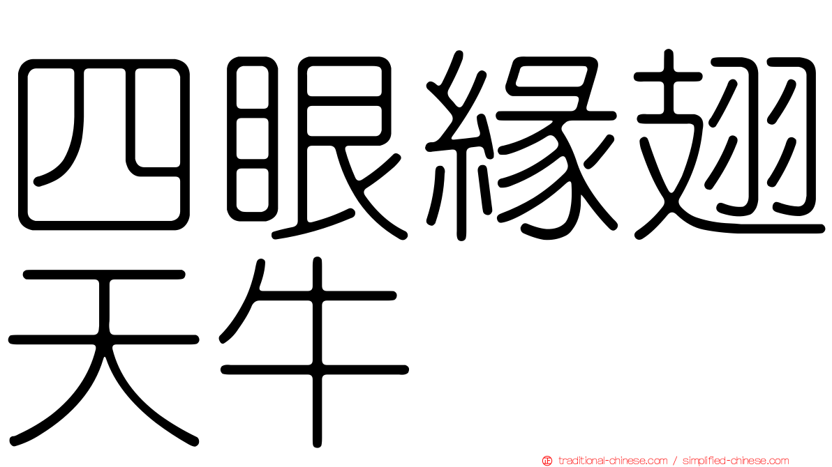 四眼緣翅天牛