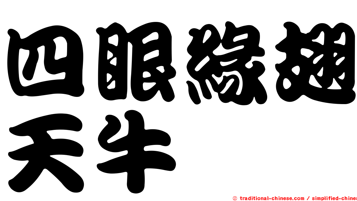 四眼緣翅天牛