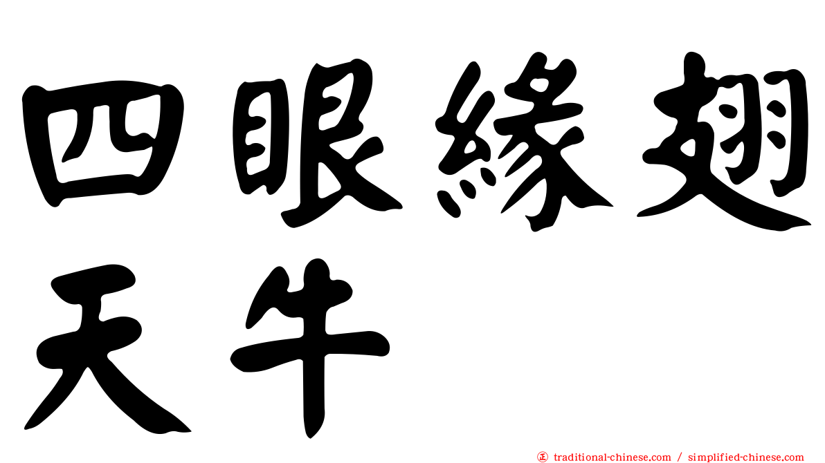 四眼緣翅天牛