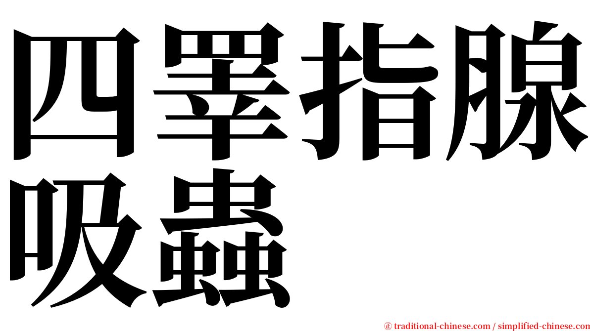 四睪指腺吸蟲 serif font