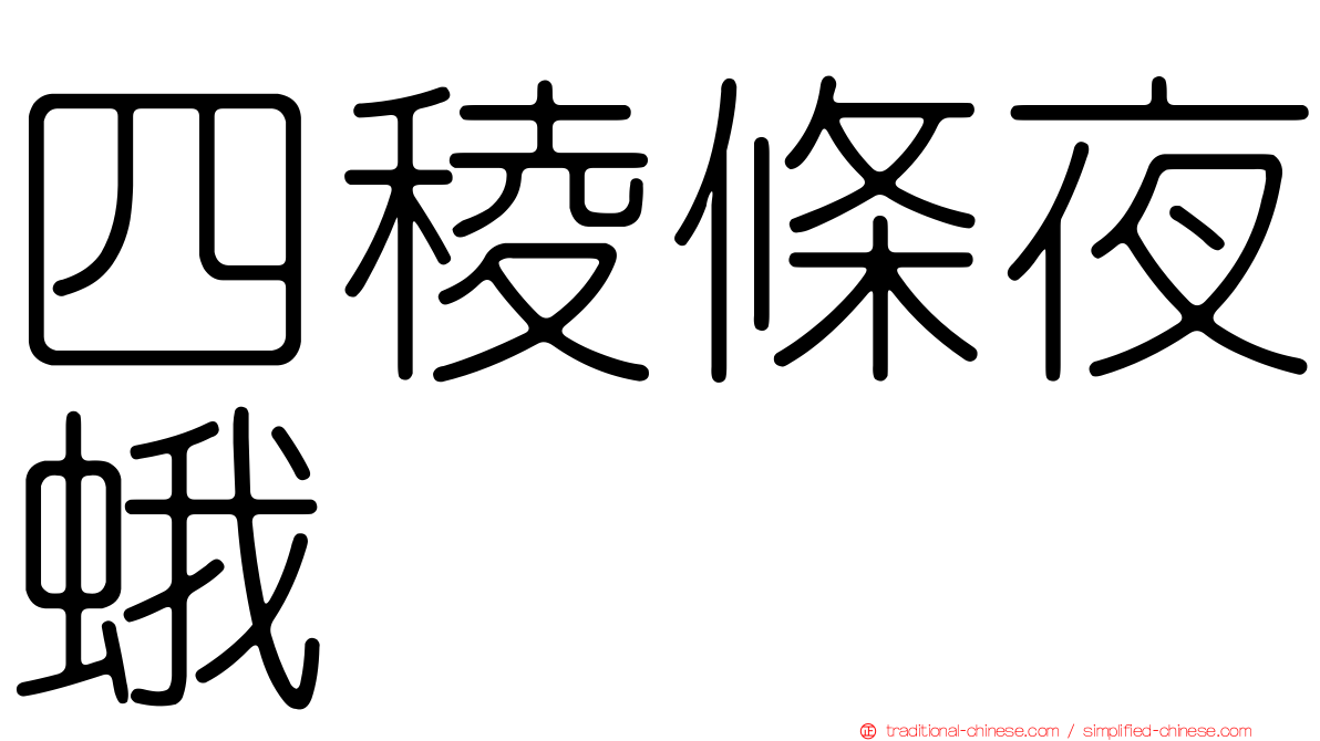 四稜條夜蛾