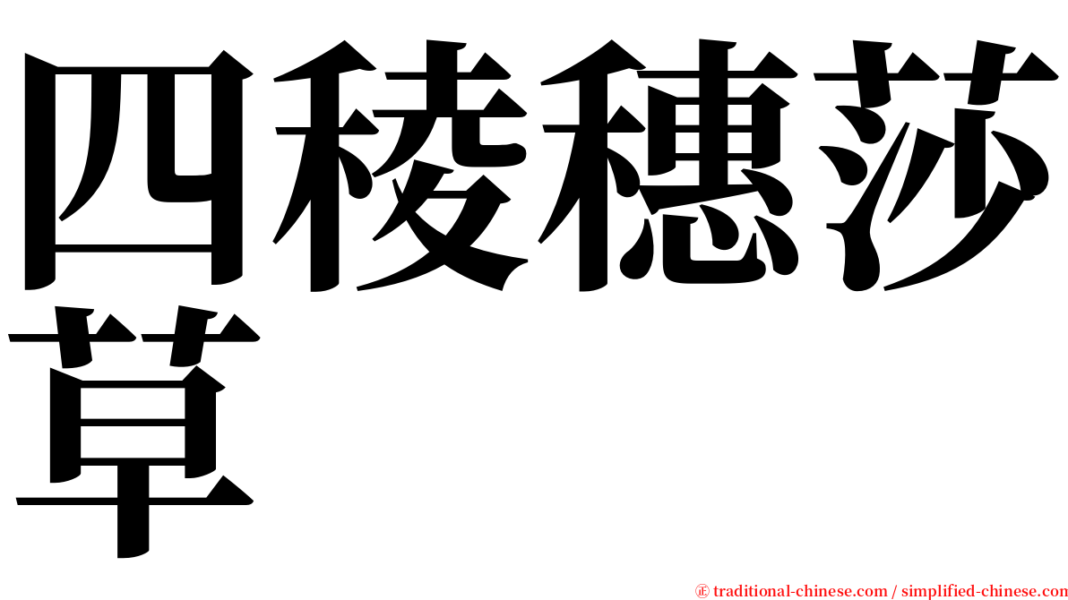 四稜穗莎草 serif font