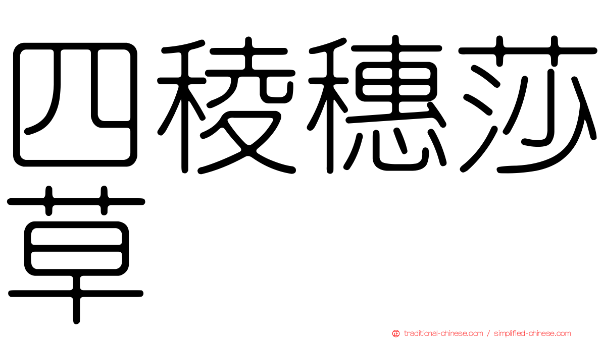 四稜穗莎草