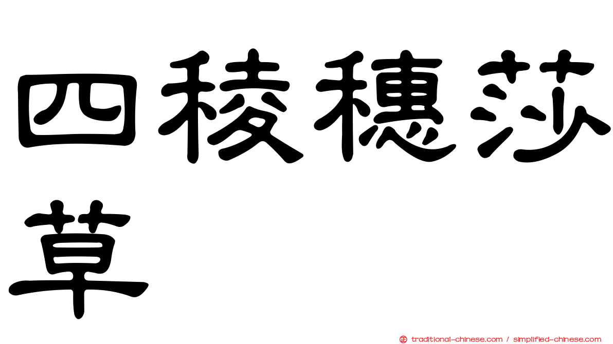 四稜穗莎草