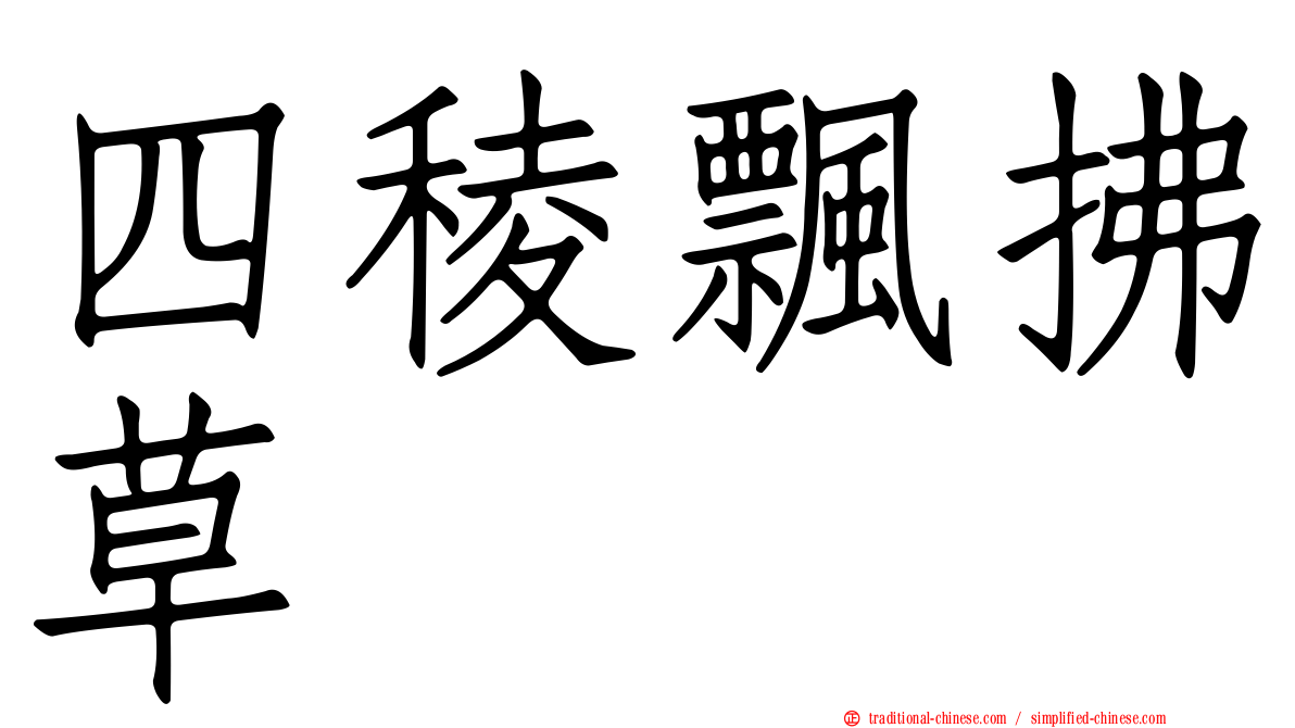 四稜飄拂草