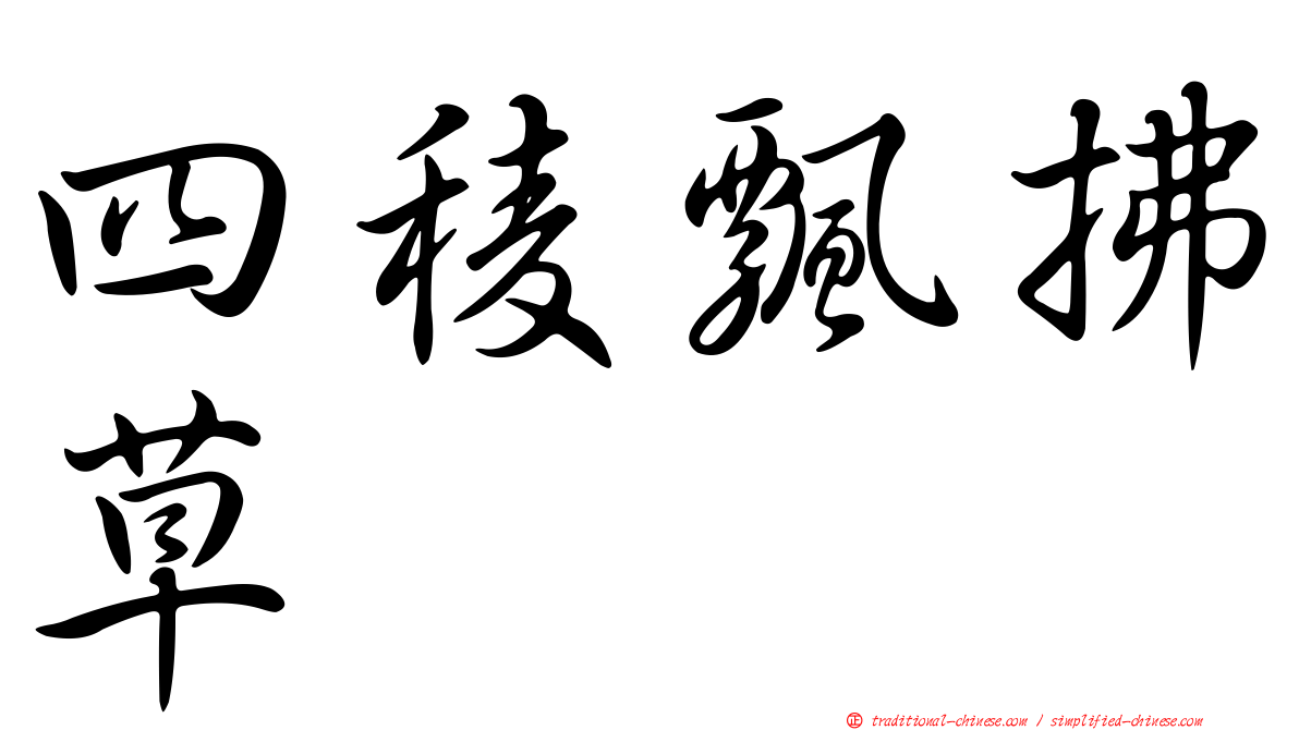 四稜飄拂草