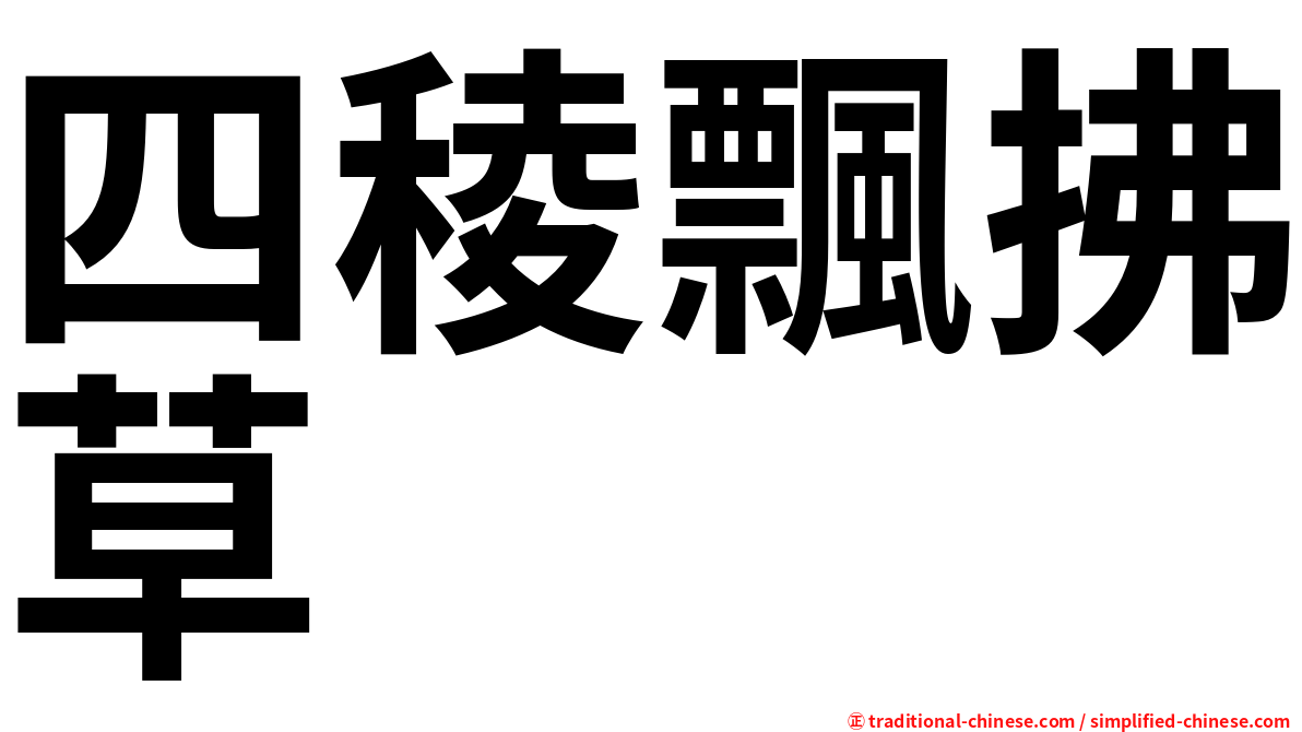 四稜飄拂草