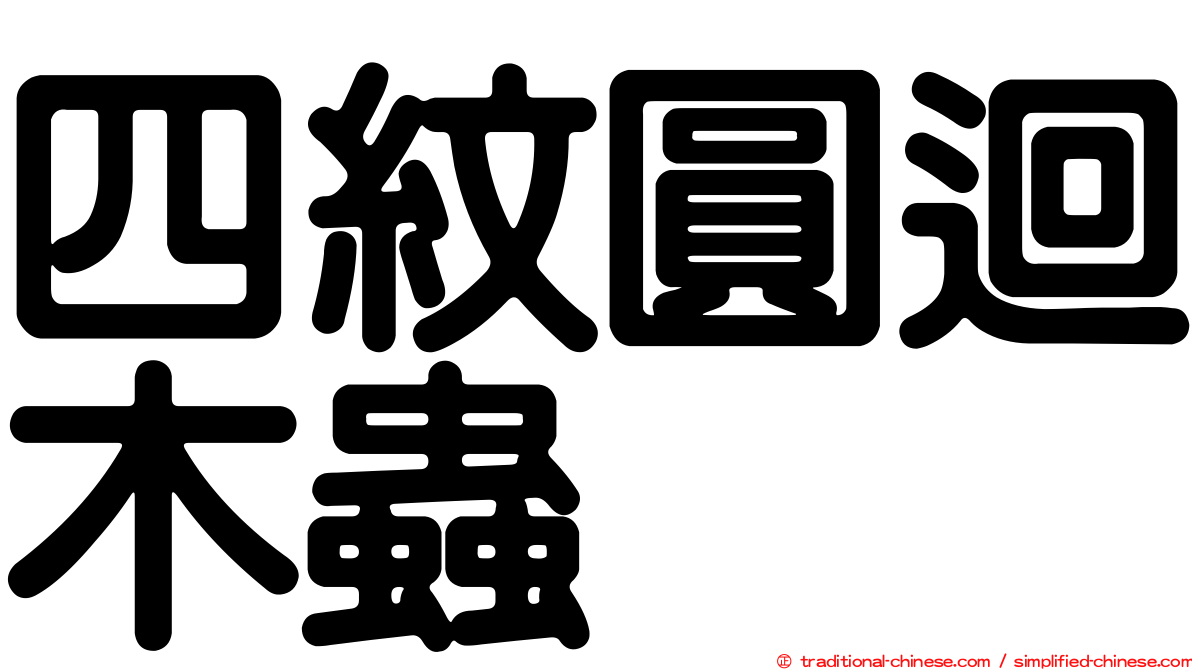 四紋圓迴木蟲