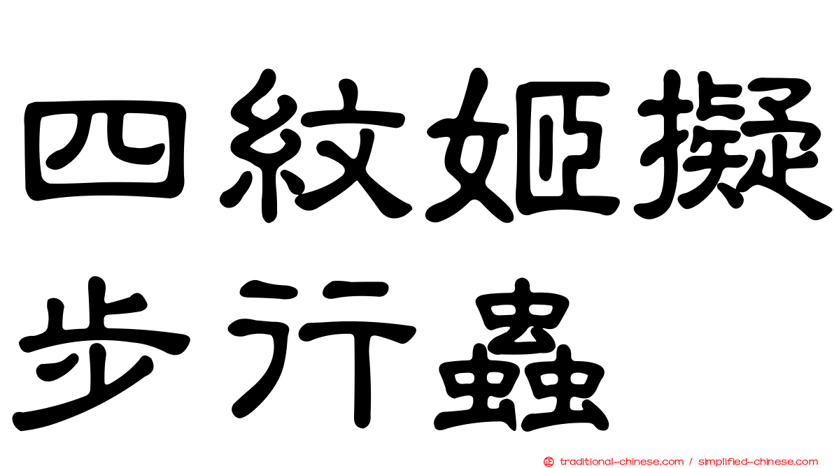 四紋姬擬步行蟲