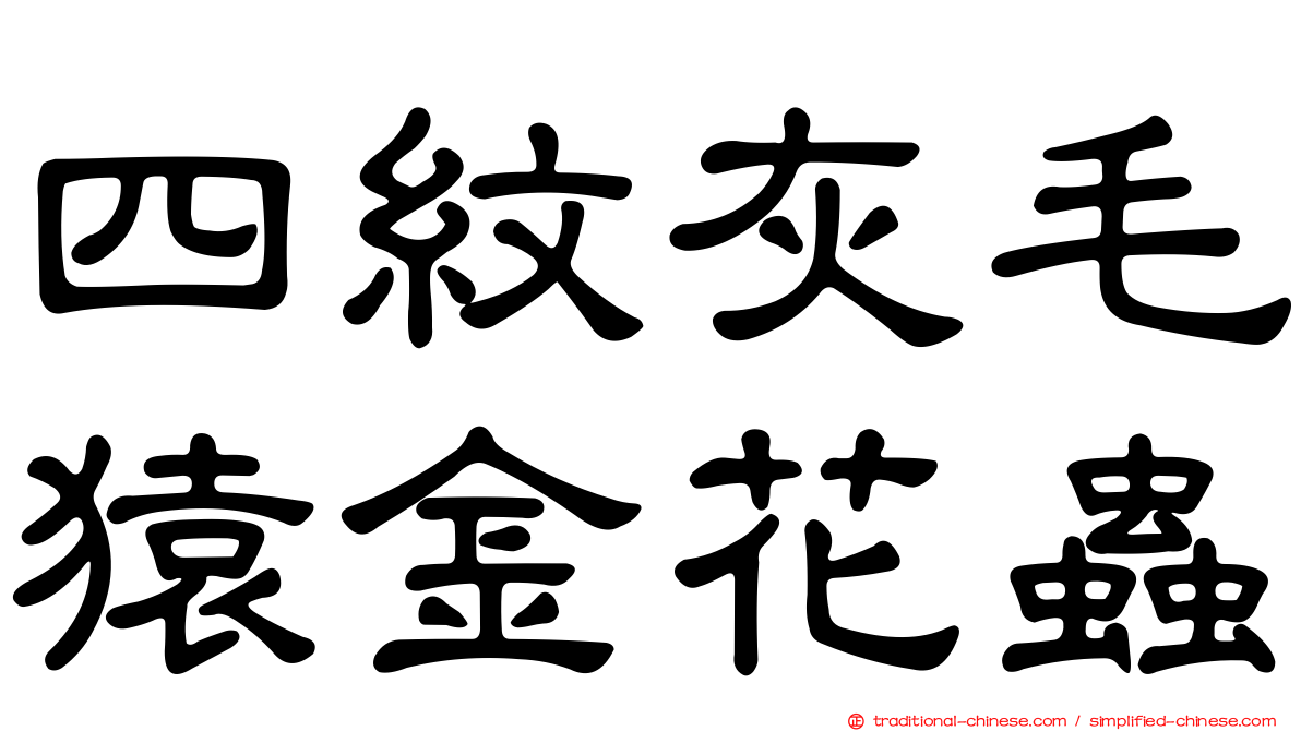 四紋灰毛猿金花蟲