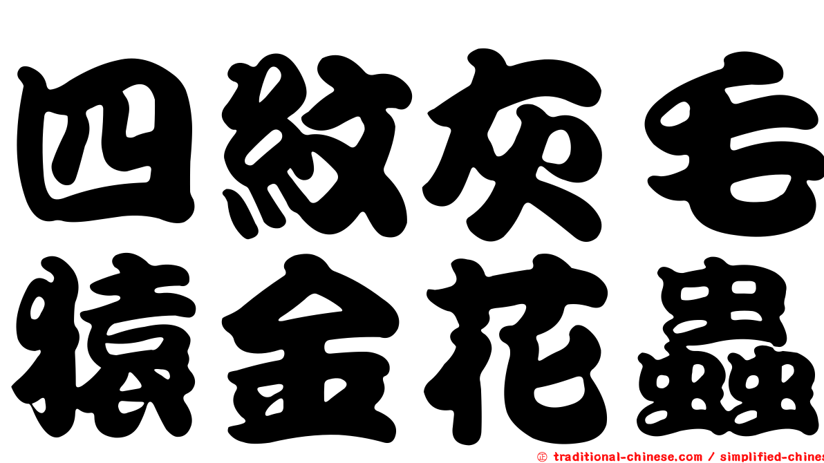 四紋灰毛猿金花蟲