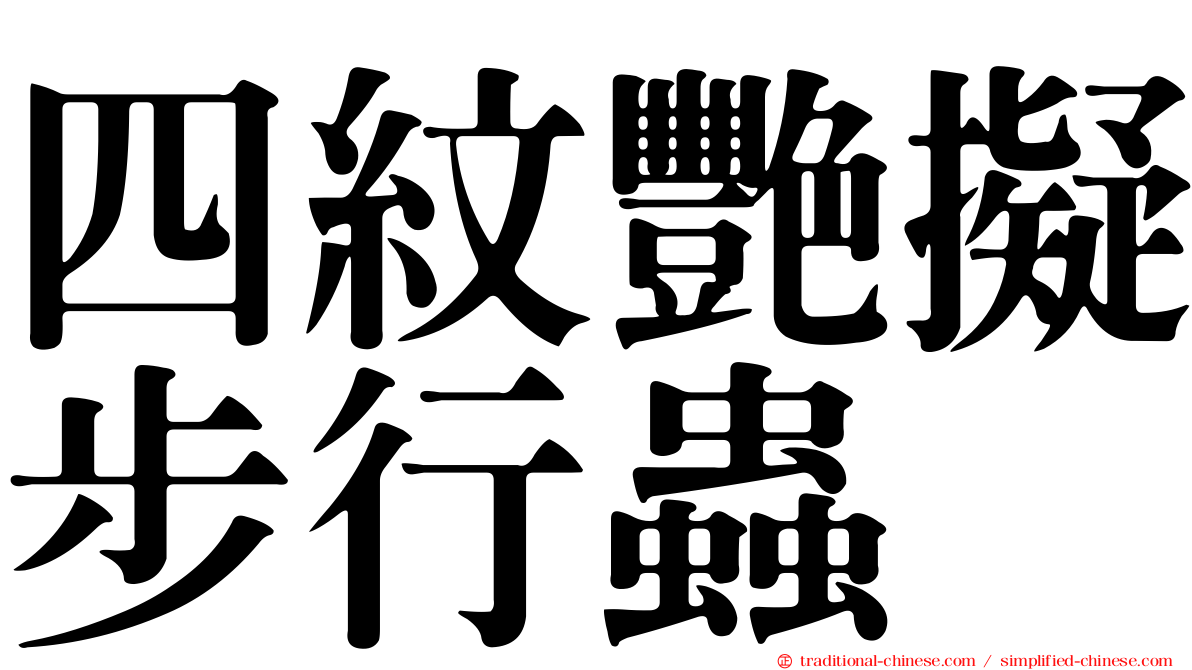 四紋艷擬步行蟲