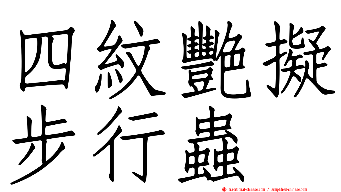 四紋艷擬步行蟲