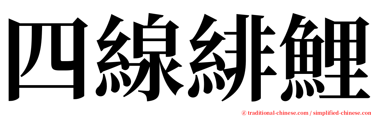 四線緋鯉 serif font