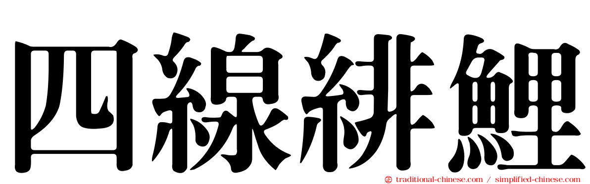四線緋鯉