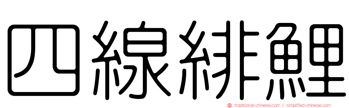 四線緋鯉