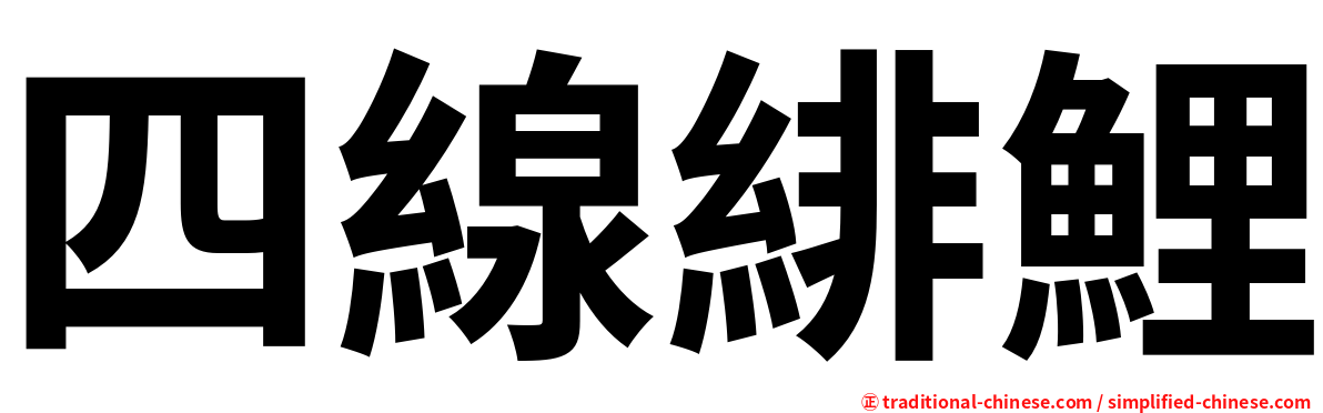 四線緋鯉