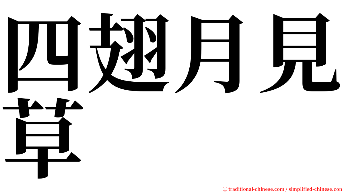 四翅月見草 serif font