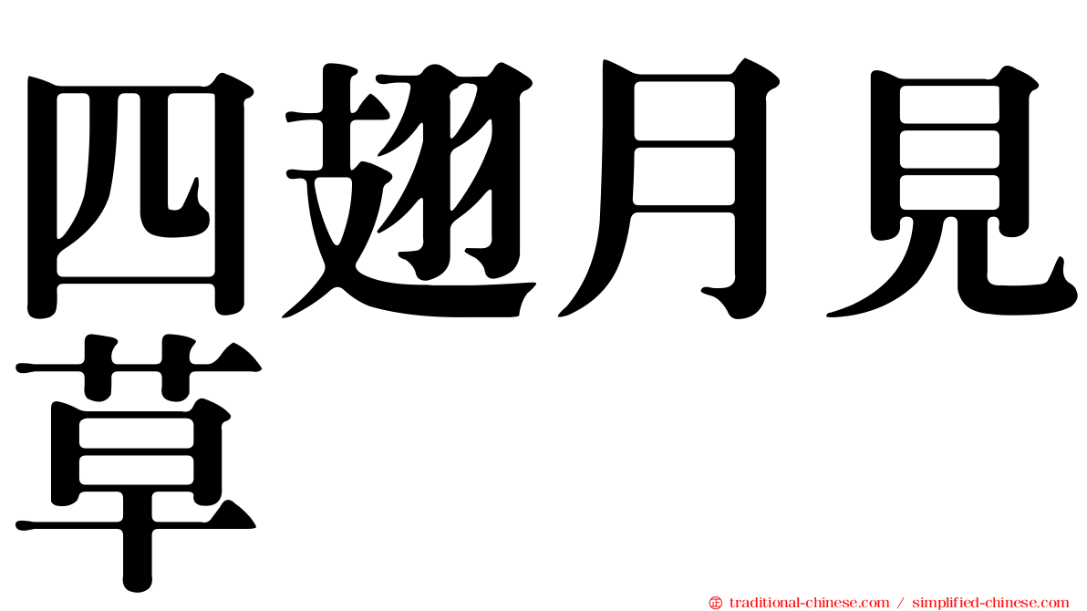 四翅月見草